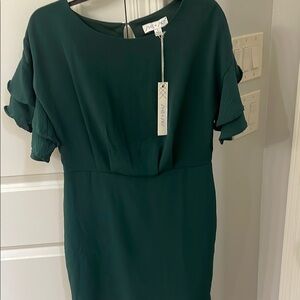 She + Sky Green Sheath Midi Dress Flutter Sleeves